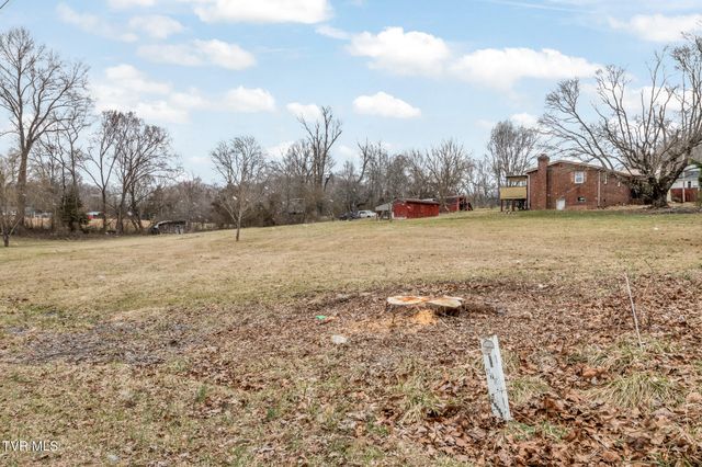 481 Riverview Drive, Johnson City, TN 37601