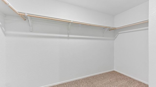 398 Ebbsfleet DR, Uhland, TX 78640