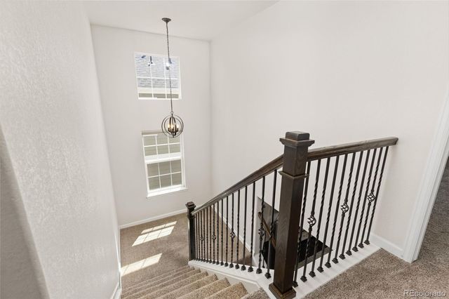1908 Treetop Drive, Castle Rock, CO 80109