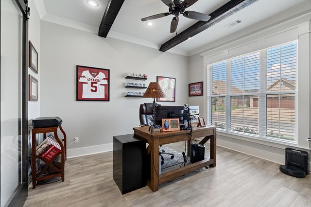 1715 Lainey Drive, Conway, AR 72034