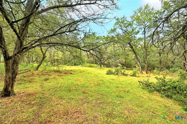 771 Mary Preiss Drive, New Braunfels, TX 78132