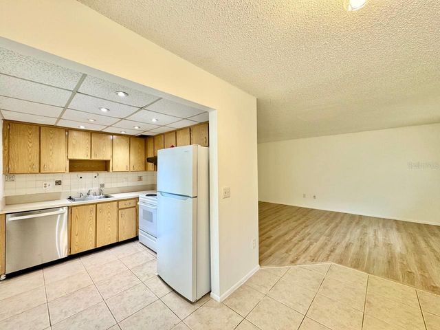 11703 RAINTREE VILLAGE BOULEVARD C, Tampa, FL 33617