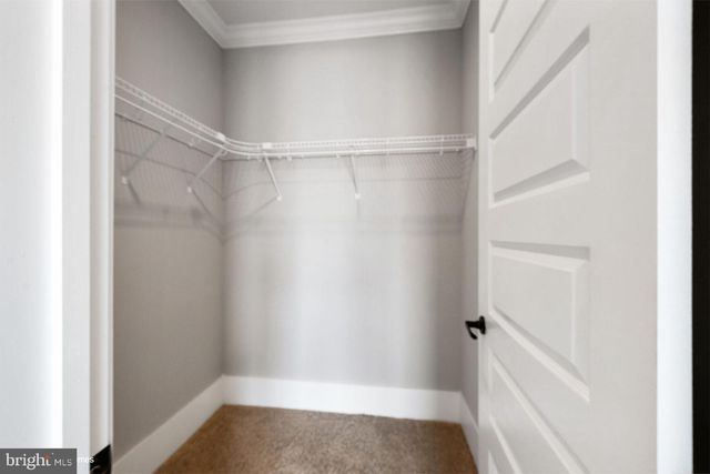 17810 TYLER STATION RD, Beaverdam, VA 23015