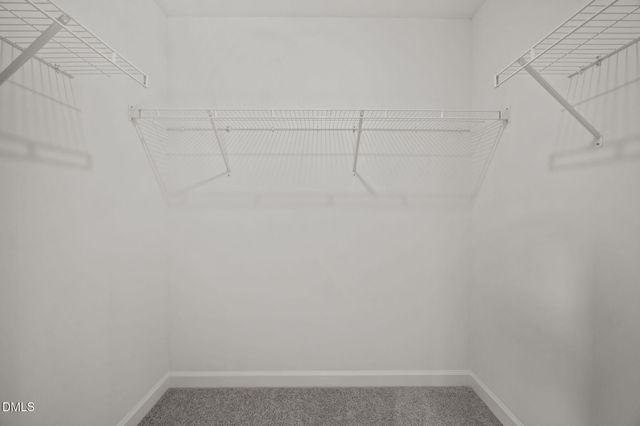 74 Cardovia Way, Wendell, NC 27591