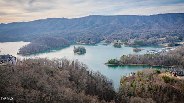 Tbd Bluestone Drive, Butler, TN 37640