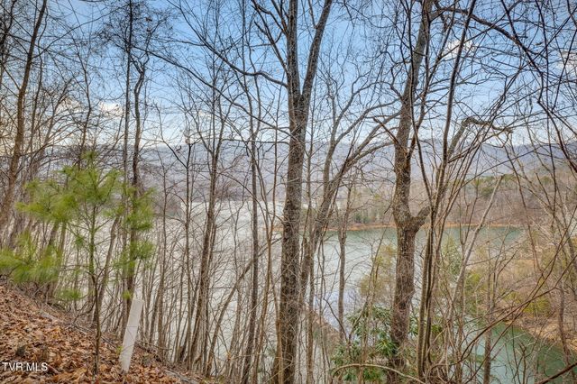 Tbd Bluestone Drive, Butler, TN 37640