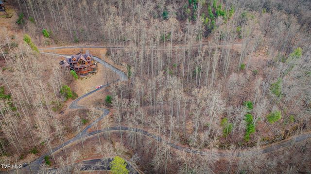 Tbd Bluestone Drive, Butler, TN 37640