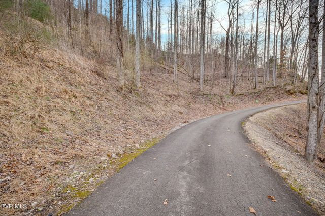 Tbd Bluestone Drive, Butler, TN 37640