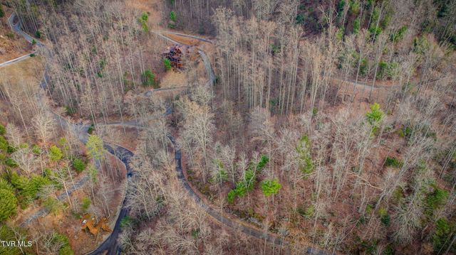 Tbd Bluestone Drive, Butler, TN 37640