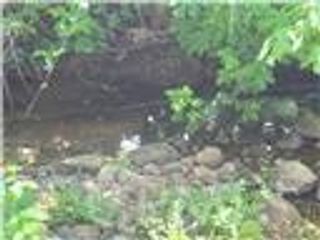 1278 Storybook Lane, Paradise, CA 95969