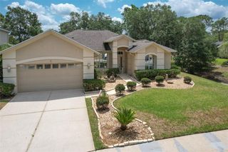3350 STONEBRIDGE TRL, Valrico, FL 33596
