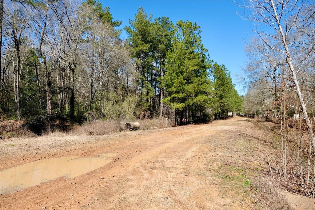 801 Bayou Oaks Street, Cleveland, TX 77328