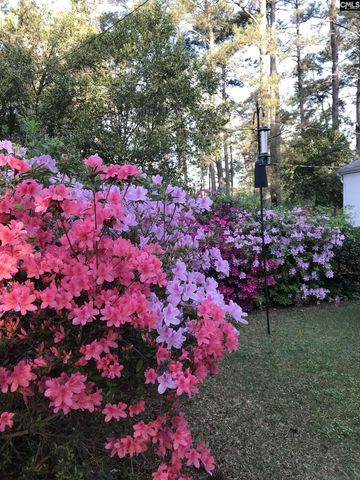 2411 Springdale Drive, Camden, SC 29020