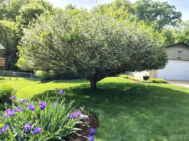 4265 Lorien Trail, Arnold, MO 63010