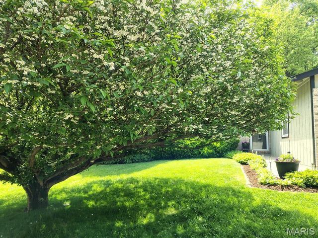 4265 Lorien Trail, Arnold, MO 63010