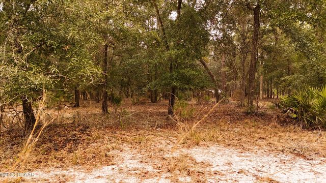 95 Pinto Lane, Ormond Beach, FL 32174
