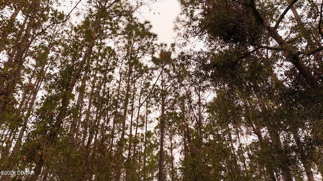 95 Pinto Lane, Ormond Beach, FL 32174