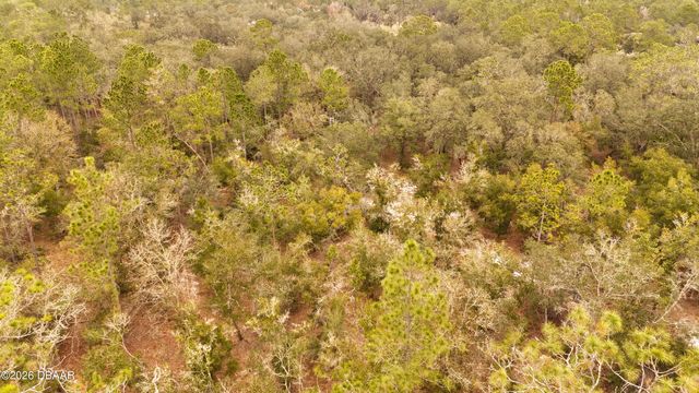 95 Pinto Lane, Ormond Beach, FL 32174