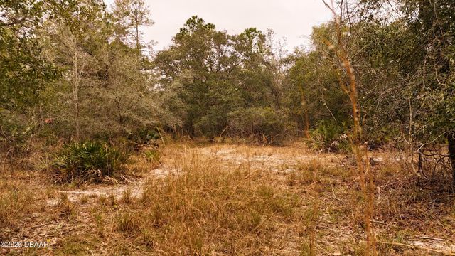 95 Pinto Lane, Ormond Beach, FL 32174