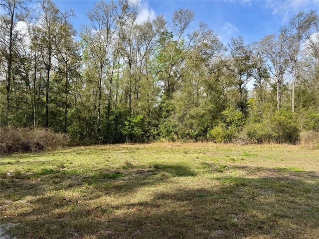 4317 284TH STREET, Branford, FL 32008