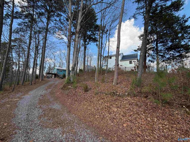 3791 County Road 44, Leesburg, AL 35983