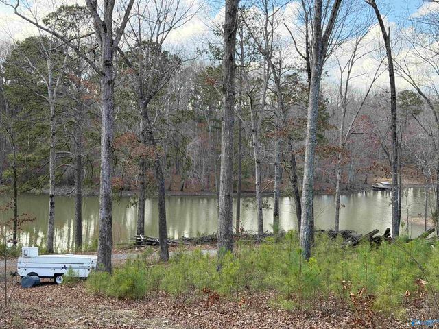 3791 County Road 44, Leesburg, AL 35983