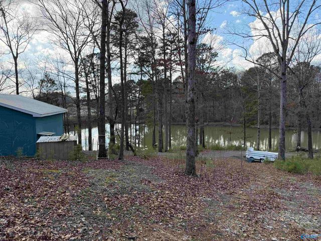 3791 County Road 44, Leesburg, AL 35983