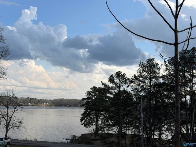 3791 County Road 44, Leesburg, AL 35983