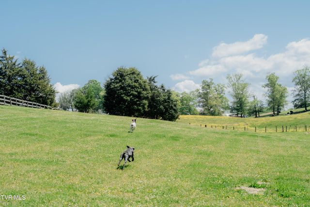 3220 Knob Creek Road, Johnson City, TN 37615