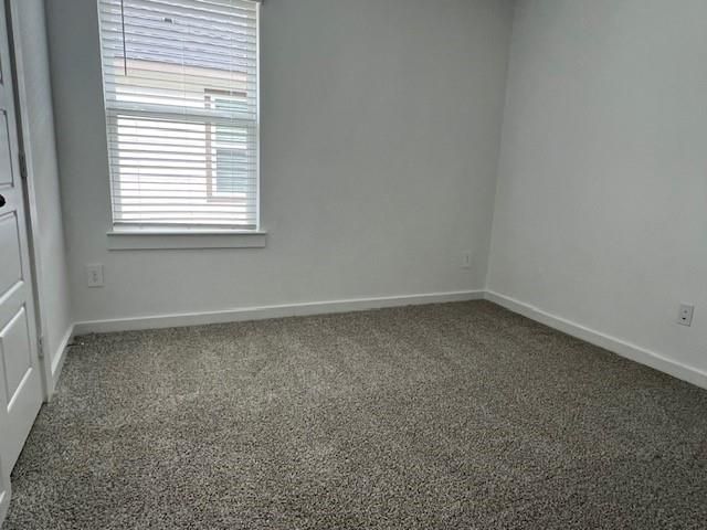 1006 Perezia Court, Rosharon, TX 77583