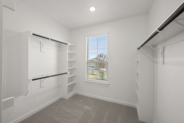 8776 Treeline Pathway, Justin, TX 76247