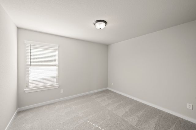 8776 Treeline Pathway, Justin, TX 76247