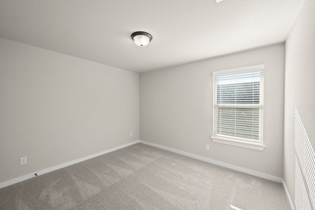 8776 Treeline Pathway, Justin, TX 76247