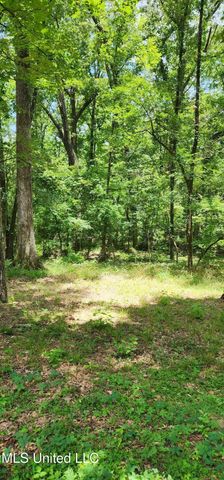 273 Springwood Drive, Terry, MS 39170