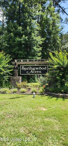 273 Springwood Drive, Terry, MS 39170