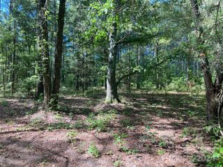 1824 Sportsman Road, Morven, NC 28119