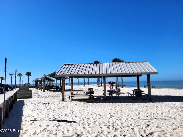 3461 Pandora Drive, Weeki Wachee, FL 34607