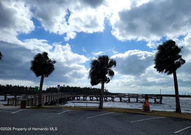 3461 Pandora Drive, Weeki Wachee, FL 34607