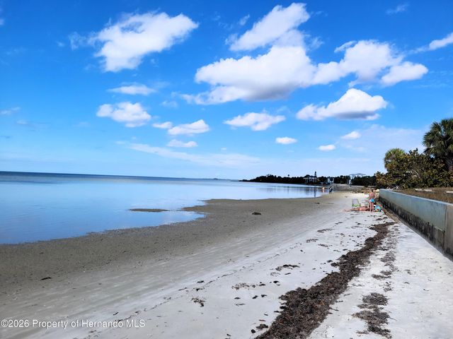 3461 Pandora Drive, Weeki Wachee, FL 34607