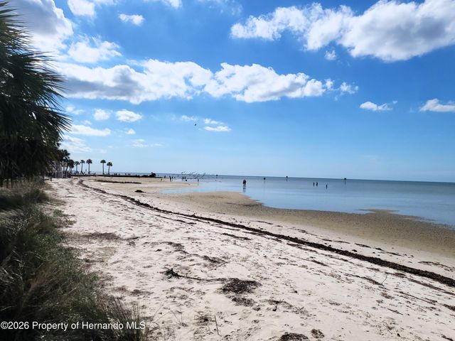 3461 Pandora Drive, Weeki Wachee, FL 34607