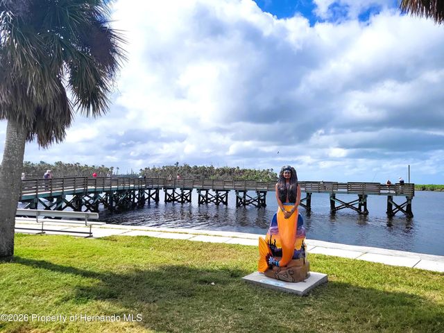 3461 Pandora Drive, Weeki Wachee, FL 34607