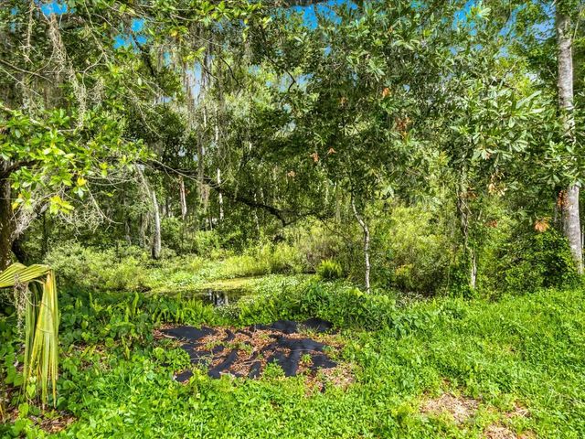 4617 DEBBIE LANE, Lutz, FL 33559
