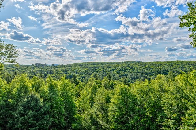 119 Lake Ridge Road, Narrowsburg, NY 12764