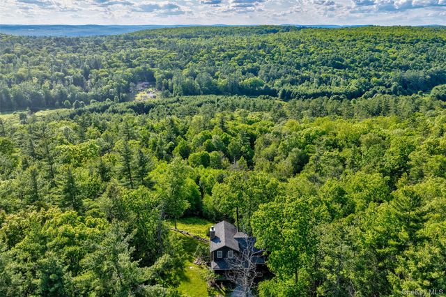 119 Lake Ridge Road, Narrowsburg, NY 12764
