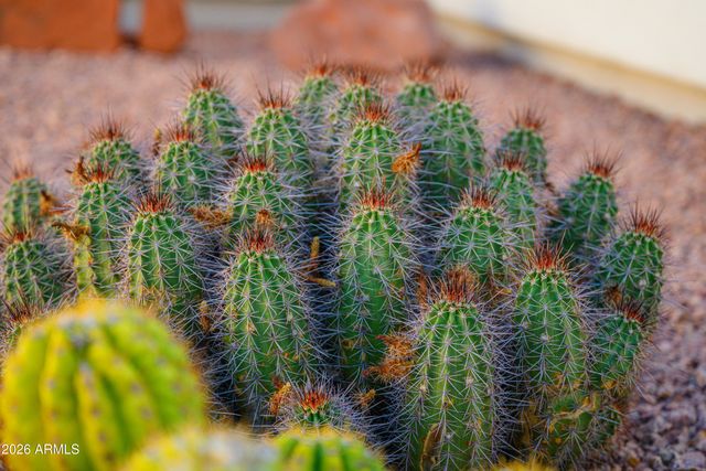 4952 E CATALINA Court, Cornville, AZ 86325