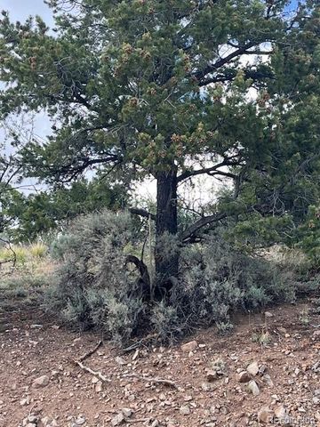 Lot 5056 France Aimee Road, Fort Garland, CO 81133