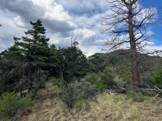 Lot 5056 France Aimee Road, Fort Garland, CO 81133