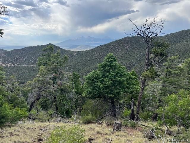 Lot 5056 France Aimee Road, Fort Garland, CO 81133