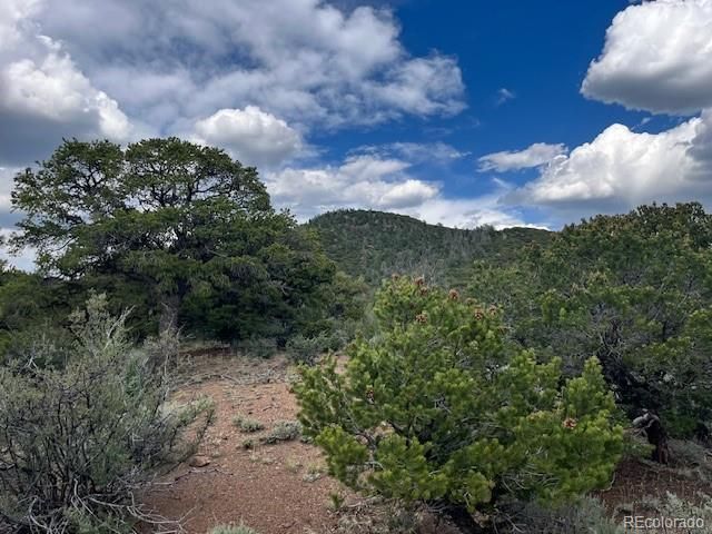 Lot 5056 France Aimee Road, Fort Garland, CO 81133