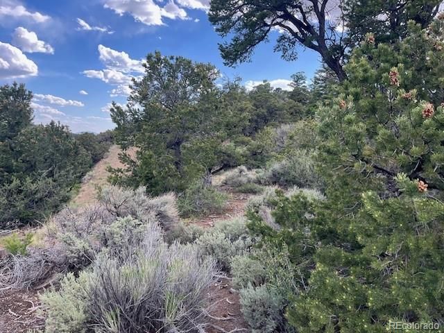 Lot 5056 France Aimee Road, Fort Garland, CO 81133